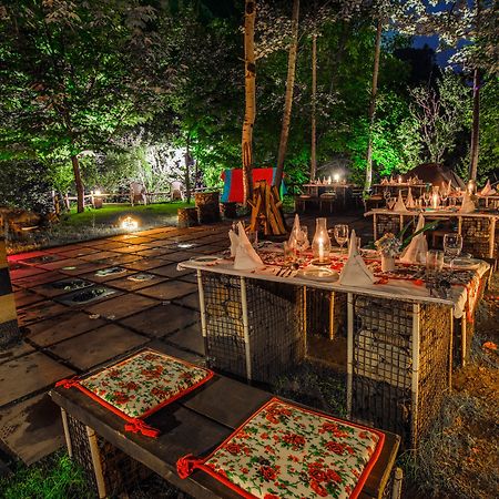 Solang Valley Resort Palchān Zewnętrze zdjęcie