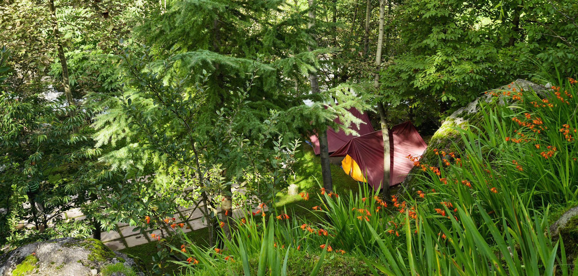 Solang Valley Resort Palchān Zewnętrze zdjęcie