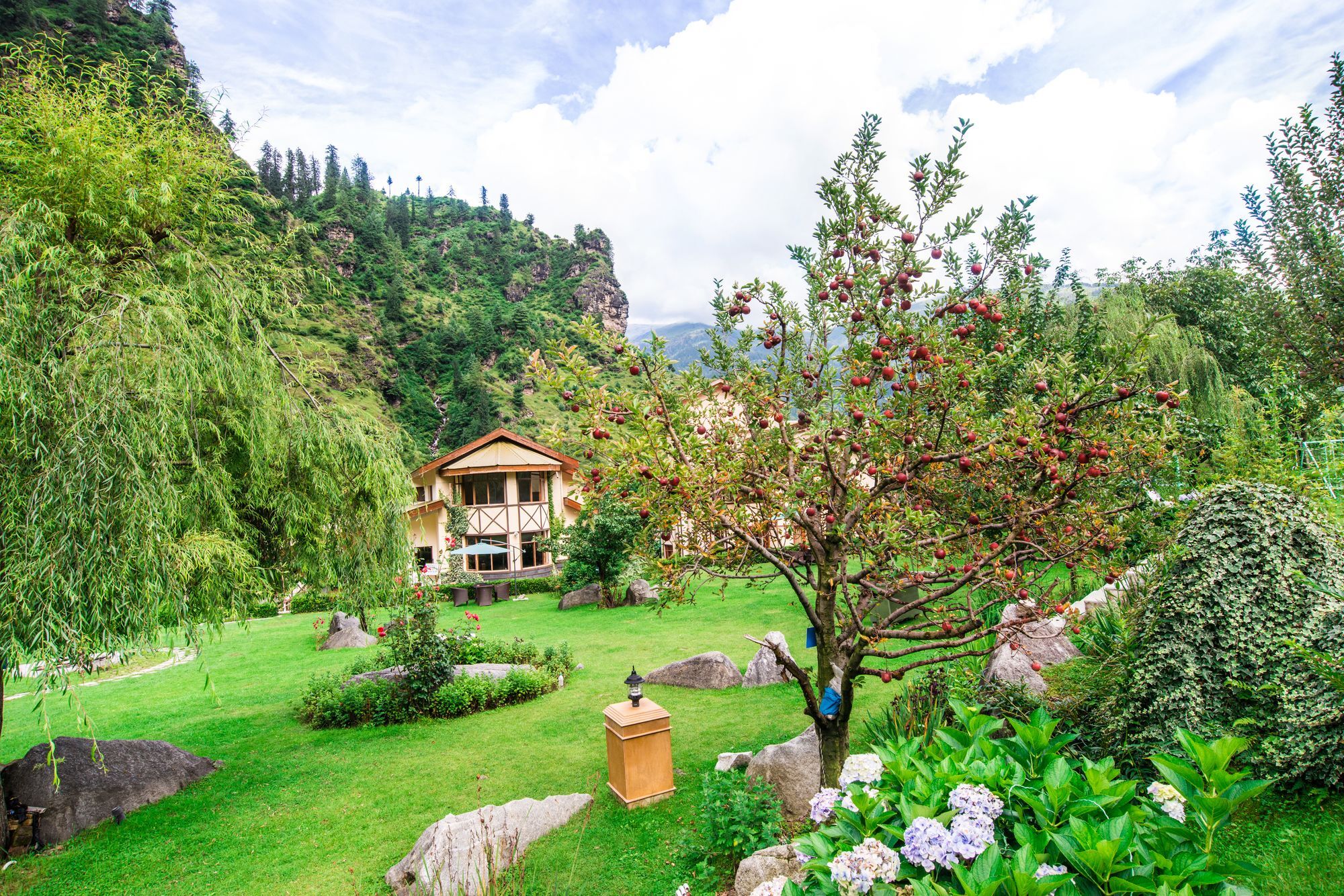 Solang Valley Resort Palchān Zewnętrze zdjęcie