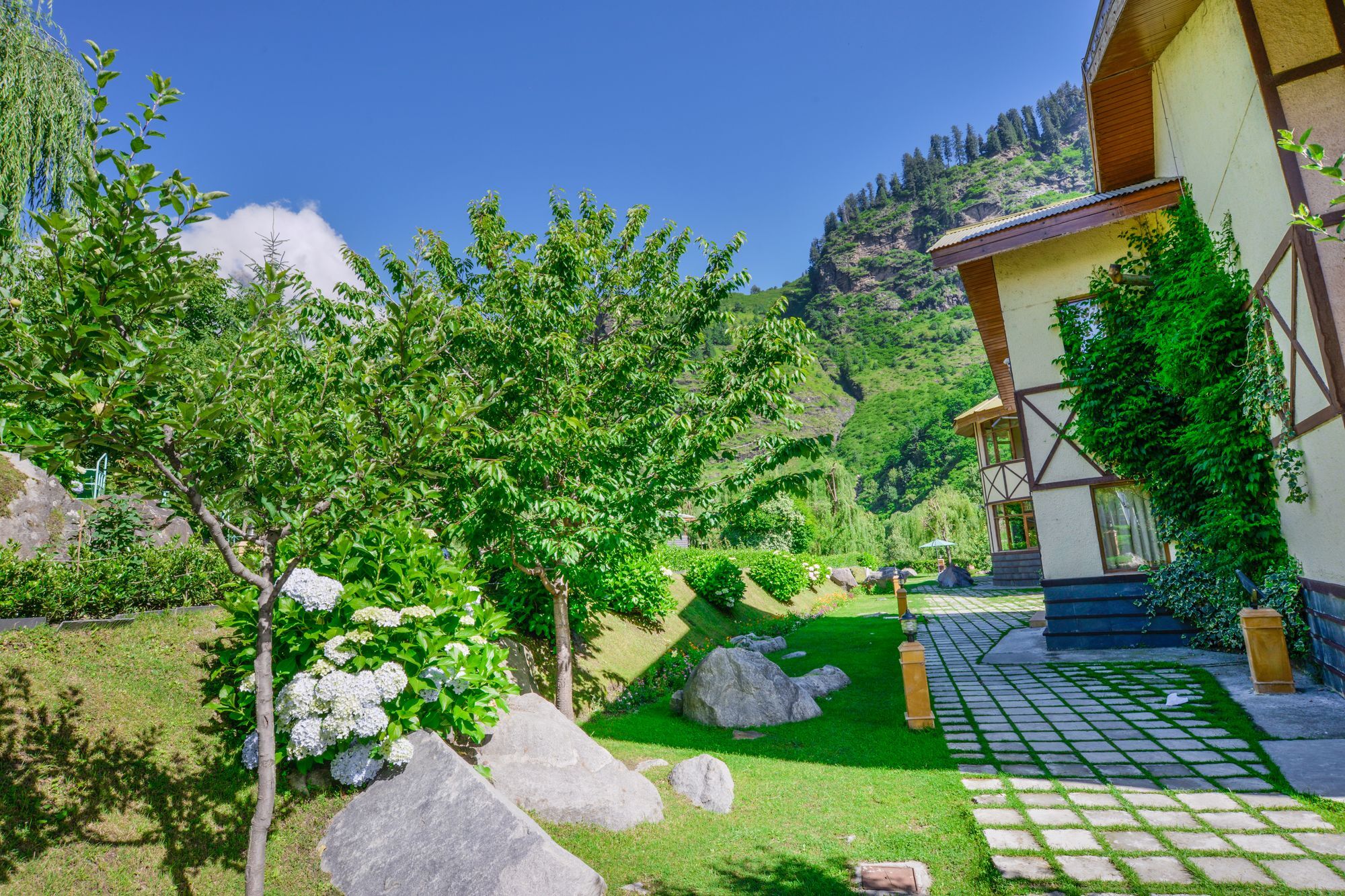 Solang Valley Resort Palchān Zewnętrze zdjęcie