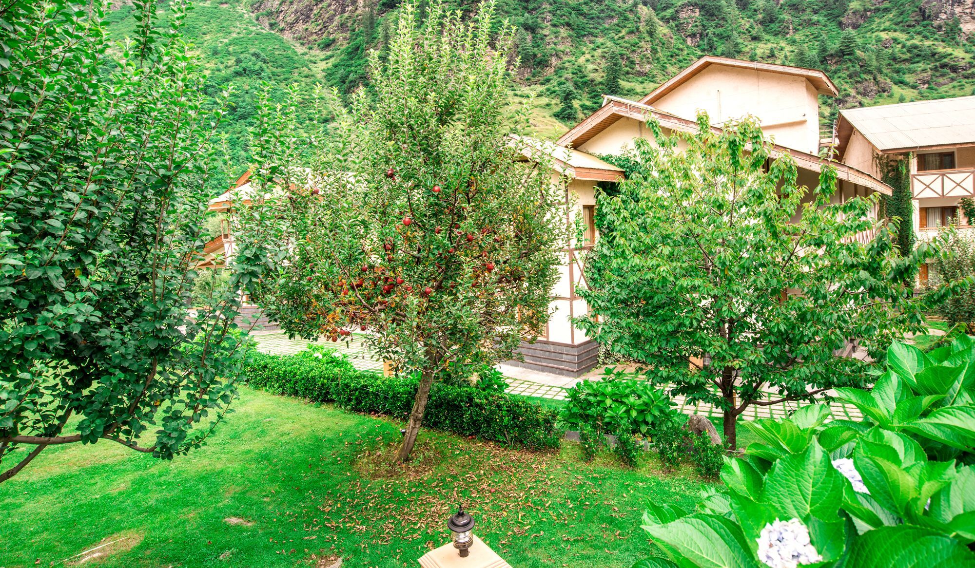 Solang Valley Resort Palchān Zewnętrze zdjęcie